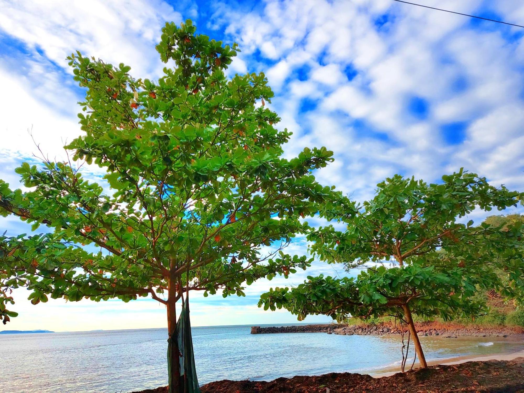 Navni Beach View Stay โกการ์นา ภายนอก รูปภาพ